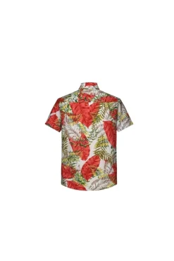 Chemise courtes à épaisseur légère
