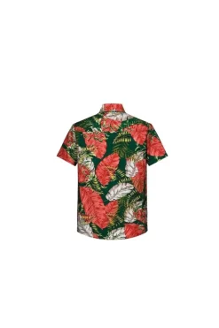 Chemise courtes à épaisseur légère
