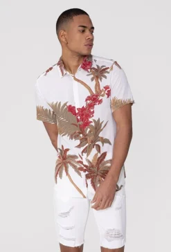 Chemise manches courtes