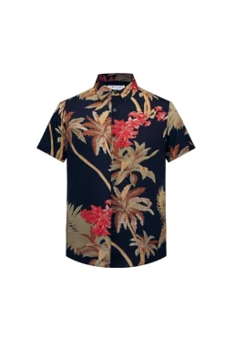 Chemise manches courtes