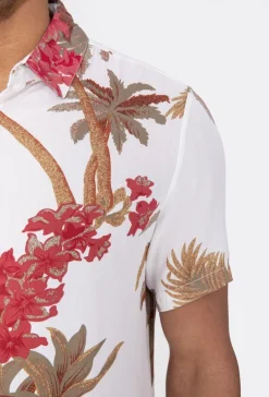 Chemise manches courtes