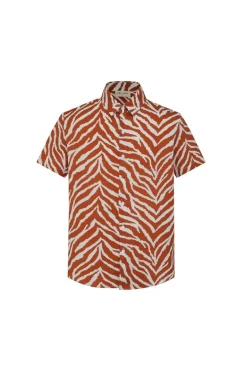 Chemise manches courtes à imprimé rayures