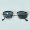 Lunettes de soleil classique