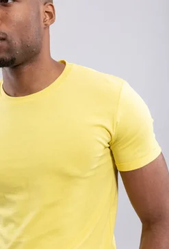 T-shirt basic en coton