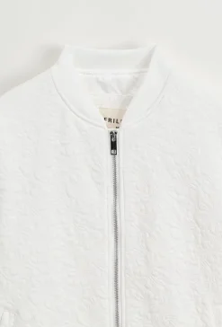 Vestes bombers à fermeture éclair